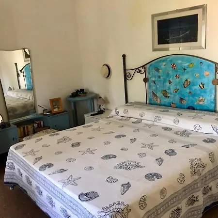 Villa In Salento Con Ampio Giardino E Solarium Nardò